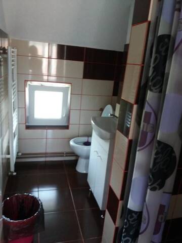 Фото номера Дом с 2 спальнями Дома для отпуска Casa Florin г. Хацег 10