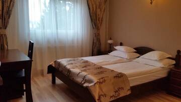 Фото номера Двухместный номер с 1 кроватью Гостевой дом Pensiunea Sarmis Cristal г. Хацег 13