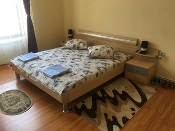 Фото номера Двухместный номер с 1 кроватью Гостевой дом Casa Ovi și Simo г. Хацег 14