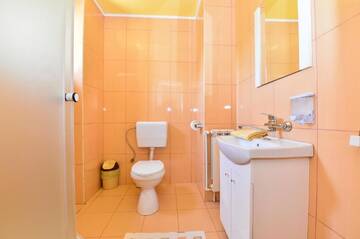 Фото номера Двухместный номер с 1 кроватью Гостевой дом Casa Ovi și Simo г. Хацег 24