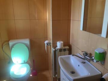 Фото номера Двухместный номер с 1 кроватью Гостевой дом Casa Ovi și Simo г. Хацег 30