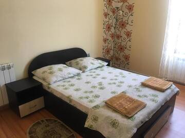 Фото номера Двухместный номер с 1 кроватью Гостевой дом Casa Ovi și Simo г. Хацег 36