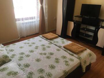 Фото номера Двухместный номер с 1 кроватью Гостевой дом Casa Ovi și Simo г. Хацег 35