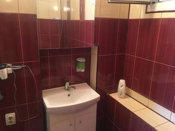Фото номера Двухместный номер с 1 кроватью Гостевой дом Casa Ovi și Simo г. Хацег 41