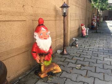 Фото номера Двухместный номер с 1 кроватью Гостевой дом Casa Ovi și Simo г. Хацег 6