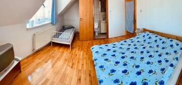 Фото номера Трехместный номер с собственной ванной комнатой Гостевой дом Casa Debora г. Хацег 3