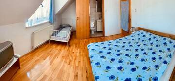 Фото номера Трехместный номер с собственной ванной комнатой Гостевой дом Casa Debora г. Хацег 5