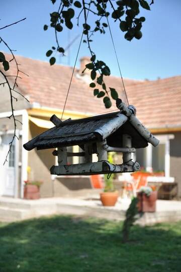 Фото номера Дом с 2 спальнями Дома для отпуска Home Tara г. Хацег 19