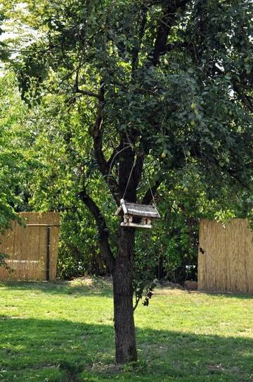 Фото номера Дом с 2 спальнями Дома для отпуска Home Tara г. Хацег 62