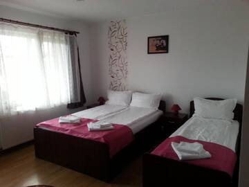 Фото номера Трехместный номер с собственной ванной комнатой Гостевой дом Casa Mia г. Хацег 8