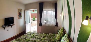 Фото номера Двухместный номер с 1 кроватью и собственной ванной комнатой Гостевой дом Dor de Vis г. Хацег 3