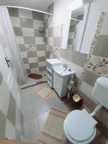 Фото номера Двухместный номер Делюкс с 1 кроватью Виллы Vila Nico г. Хацег 3