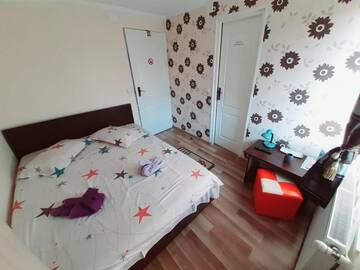 Фото номера Двухместный номер Делюкс с 1 кроватью Виллы Vila Nico г. Хацег 4