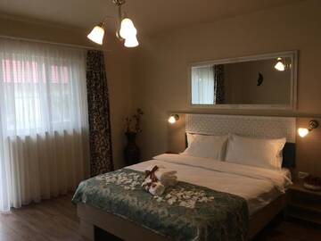 Фото номера Стандартный двухместный номер - 1 этаж Отель Vila Nicole г. Хацег 16