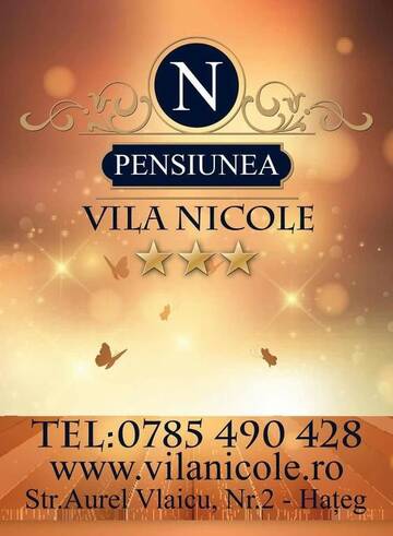 Фото номера Стандартный двухместный номер - 1 этаж Отель Vila Nicole г. Хацег 30