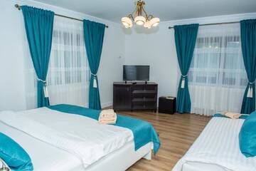 Фото Гостевой дом Casa Alin г. Хацег 1