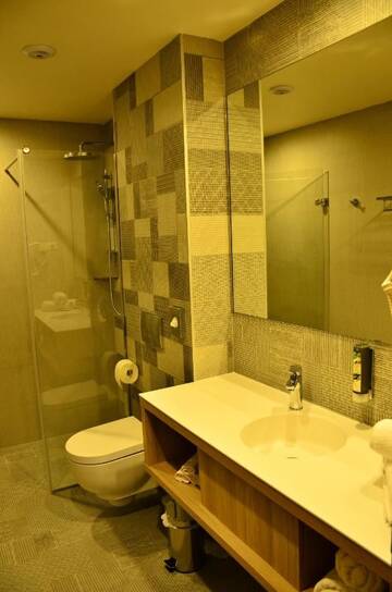Фото номера Трехместный номер Отель Hotel Baril г. Хацег 11
