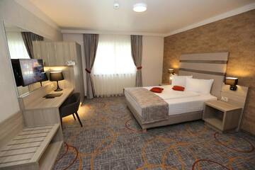 Фото номера Двухместный номер с 1 кроватью Отель Hotel Baril г. Хацег 16