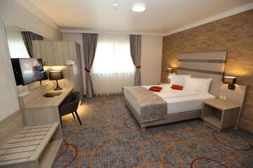 Фото номера Двухместный номер с 1 кроватью Отель Hotel Baril г. Хацег 4