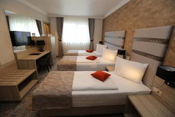 Фото номера Трехместный номер Отель Hotel Baril г. Хацег 5