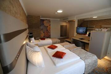 Фото номера Трехместный номер Отель Hotel Baril г. Хацег 7