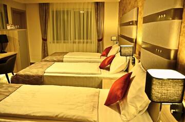 Фото номера Трехместный номер Отель Hotel Baril г. Хацег 9