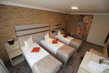 Фото номера Трехместный номер Отель Hotel Baril г. Хацег 2